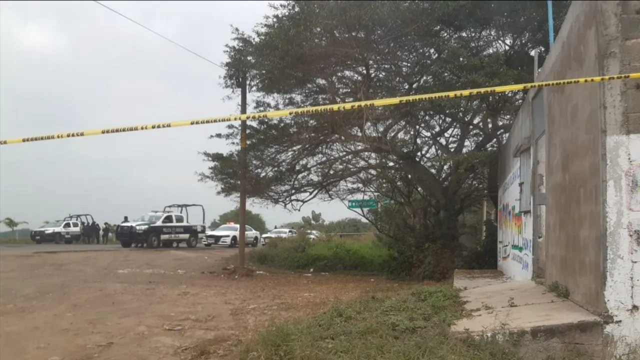 Identifican seis de los 9 cadáveres abandonados en autopista de Veracruz