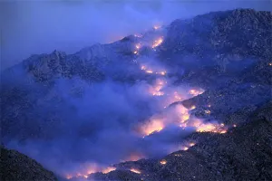 Incendio en California destruye más de 7 mil hectáreas
