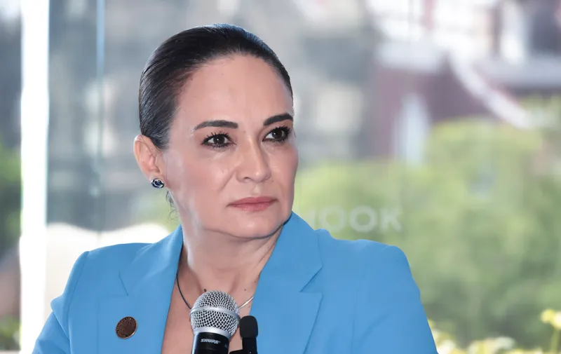 Puebla debe interesarle a todos: Liliana Ortiz