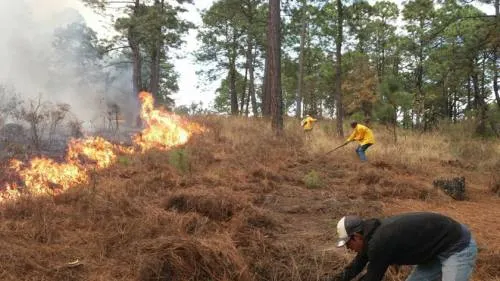 Ocupa Puebla primer lugar nacional en hectáreas afectadas por 95 incendios forestales
