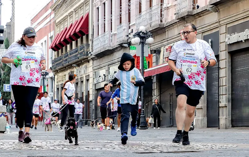 carrera-contigo-y-tus-perritos
