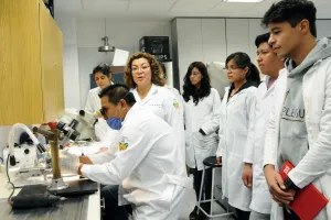 Modelo experimental de la BUAP es reconocido por la comunidad científica mundial