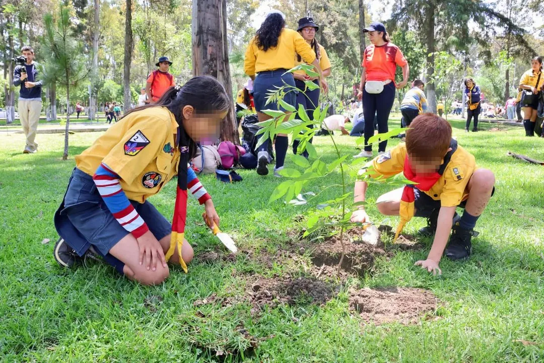 Sedif Pue Jornada Reforestacion Los Fuertes