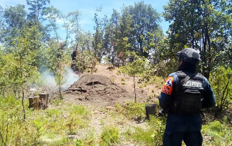 Inhabilita SSP hornos para la deshidratación ilegal de madera