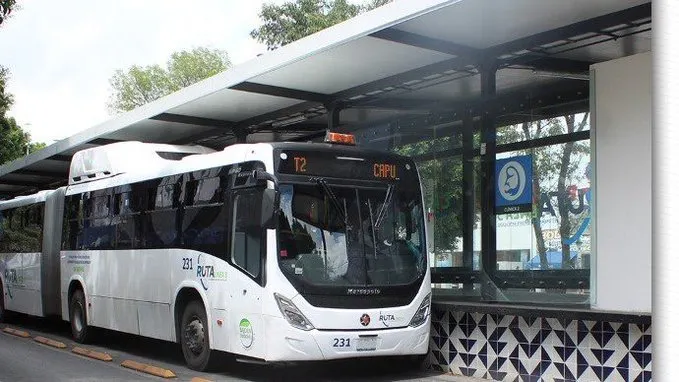 Línea 4