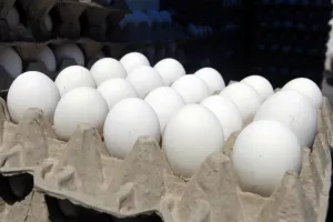 Precio del huevo podría estabilizarse en el mes de junio