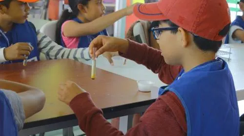 El CCU BUAP abre seis opciones de cursos de verano para niños y adolescentes
