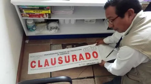 Clausura Profepa gasolinera por descargar aguas residuales en arroyo San Diego