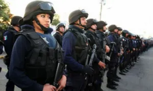 Gendarmes mexicanos fueron entrenados en Colombia