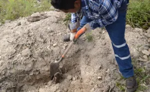 En fosas de Guerrero podría haber hasta 60 cuerpos