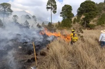 Puebla reduce en 68% la afectación a la reserva forestal en 2025 gracias a coordinación interinstitucional