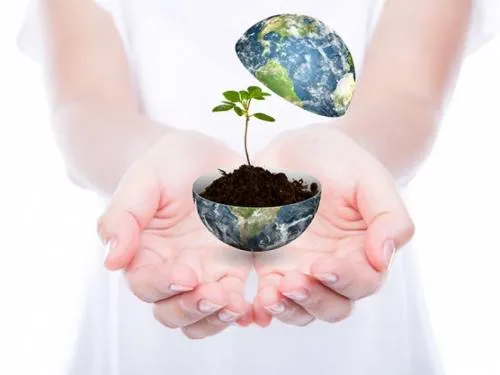 Día de la Tierra: cuidar el planeta es responsabilidad de todos