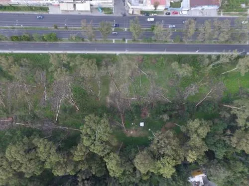 Realiza Ayuntamiento de Puebla estudio para definir límites territoriales en vivero de Santa Cruz