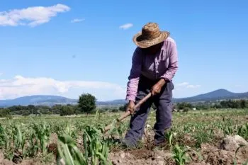 Sequía y falta de agua ponen presión sobre la producción agrícola en México