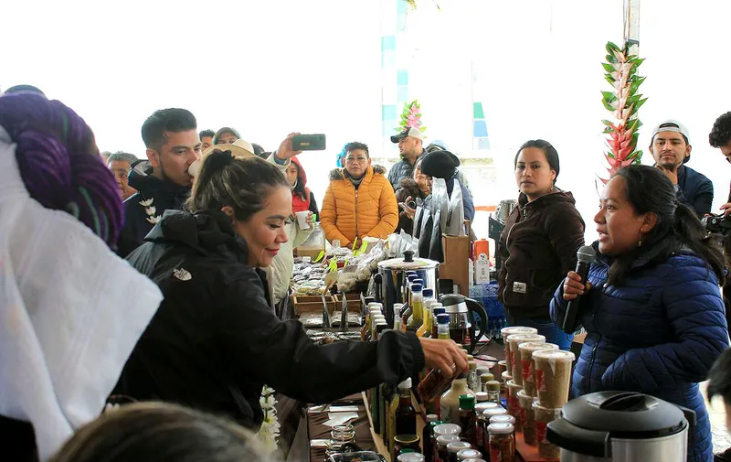 bioruta-del-cafe-circuito-sierra-nororiental