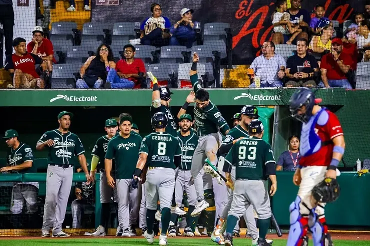 Pericos de Puebla