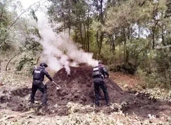 Policía Forestal de Puebla destruye 11 hornos clandestinos para producir carbón con madera ilegal