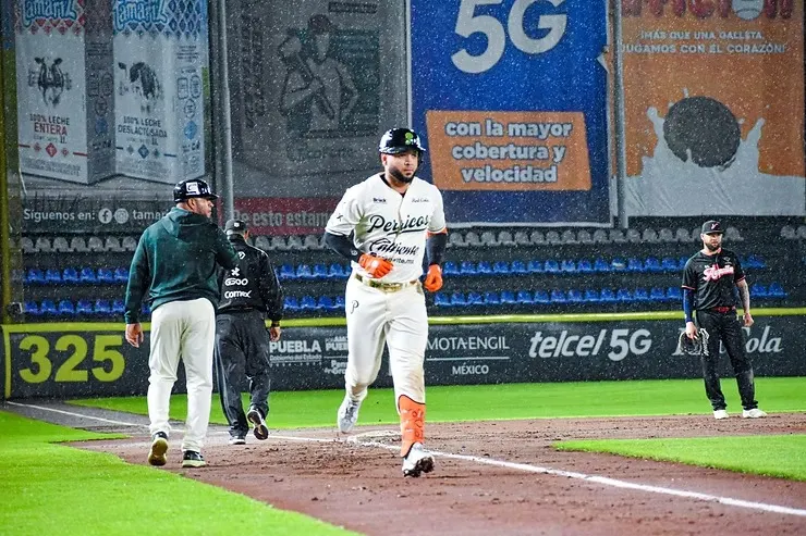 Pericos de Puebla