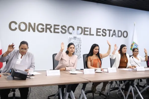 Comision De Igualdad De Genero Congreso Pue