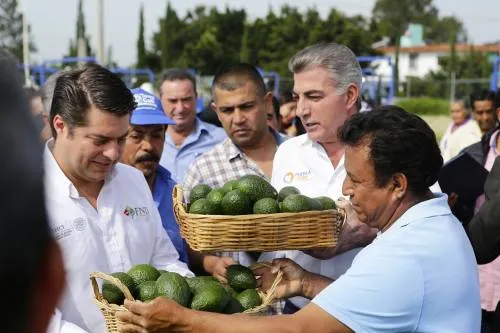 Atlixco volverá a ser la cuna del aguacate para el mundo: Gali