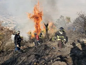 Puebla es sexto lugar nacional con mayor número de incendios forestales: Conafor