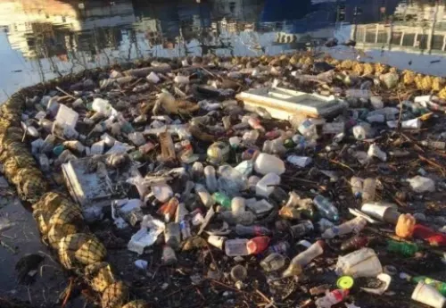 Oceana pide a senadores legislar sobre plásticos de un sólo uso