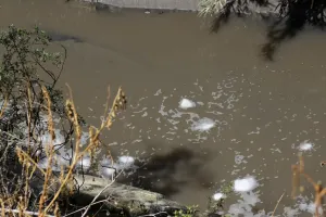 Al río Atoyac no lo contamina el gobierno
