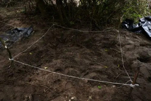 Hallan 2 mil fosas clandestinas en México; Durango entre los estados con más restos contabilizados