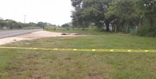 Encuentran seis cadáveres en carretera de Oaxaca