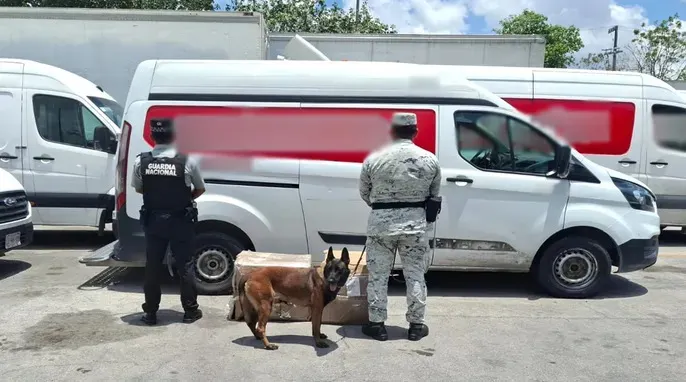Operativos del Gabinete de Seguridad dejan múltiples aseguramientos en 13 estados