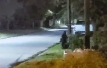Captan en video a un supuesto duende en Argentina