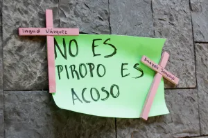 Violencia, misoginia y agresiones, características del feminicidio