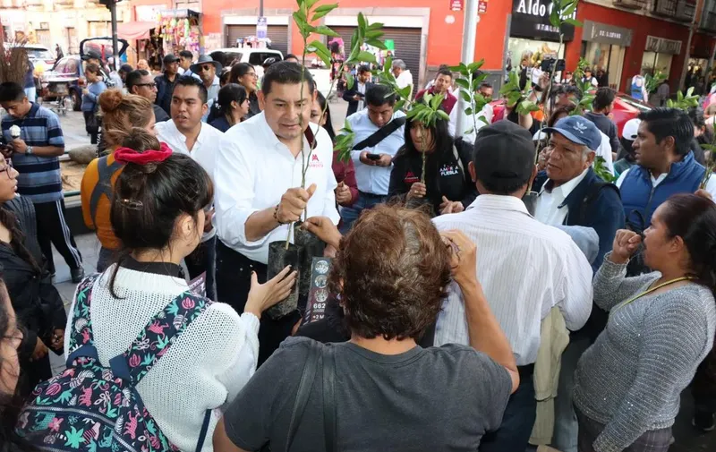 alejandro-armenta-centro-historico