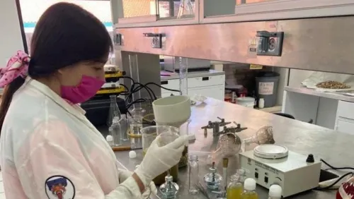 Estudiante de la Tarahumara crea gel antibacterial con hierbas endémicas