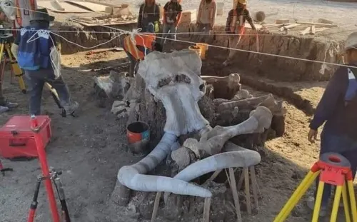 Tras hallazgos de mamuts, piden proteger zona de aeropuerto de Santa Lucía