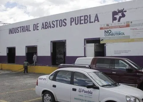 Instalarán celdas solares en cuatro edificios del Ayuntamiento, invertirán 6 millones de pesos