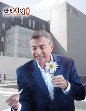 Un acercamiento al gabinete de Gali