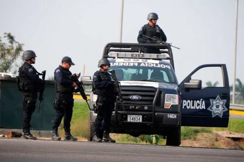 Policía Federal recupera cargamentos de polietileno y estantería para químicos en Serdán
