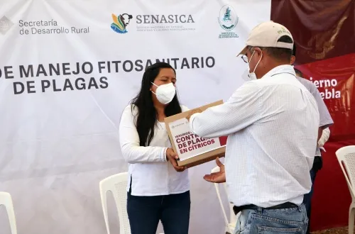 Entrega SDR insumos para producción de cítricos en Acateno