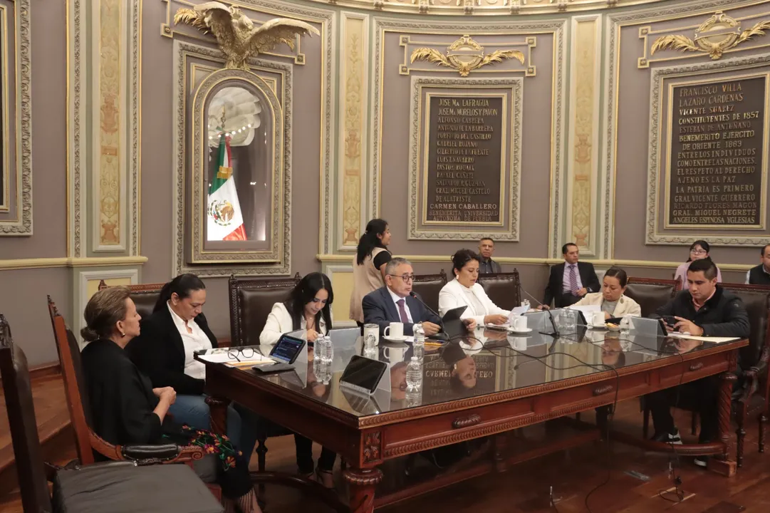 Prohibir tratamientos quirúrgicos o estéticos en animales