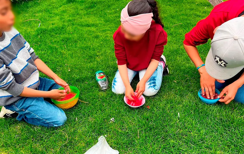 iedep-proyecto-educativo-de-vinculacion-social