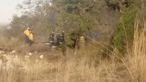 Controlado incendio forestal en límites de Puebla y Amozoc: Medio Ambiente