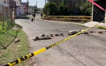 Intervención del puente de colonia Naciones Unidas arrancará en julio: Vélez Tirado