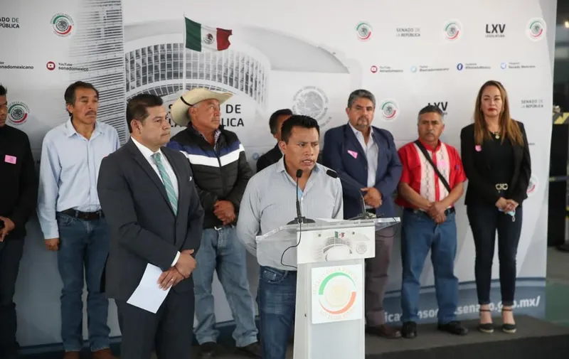 Imagen del artículo