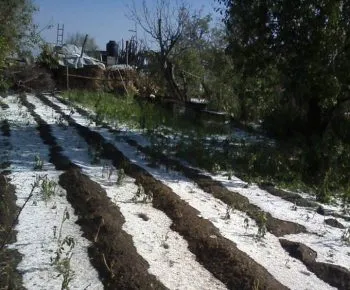 SEGOB aún no cuantifica daños por granizada en Villanueva
