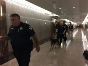 Por amenaza de bomba evacuan área del Senado de EEUU