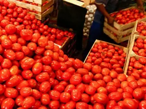 Se desploma precio de jitomate por excedente que no ingresó a EEUU