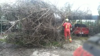 Coordinación interinstitucional y monitoreo puntual del Gobierno de la Ciudad refuerzan la prevención ante lluvias
