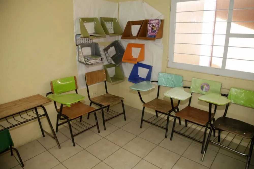 El sinuoso caminito (de vuelta) de la escuela