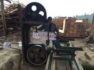 Asegura Profepa madera y clausura centros de almacenamiento en Puebla